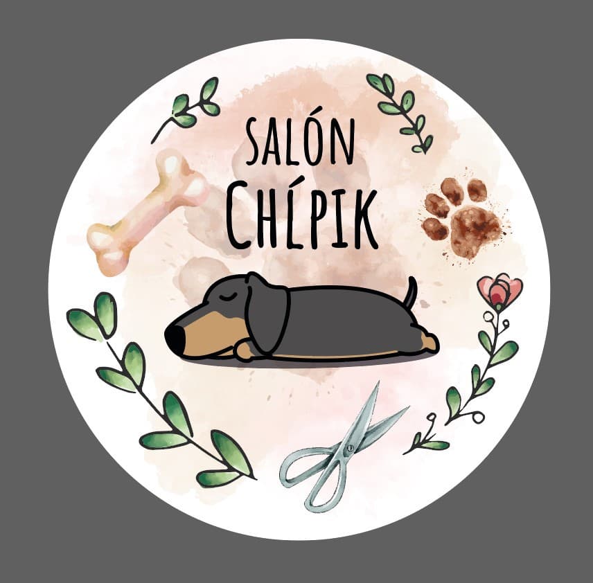 Salón pre psov Chĺpik